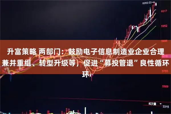 升富策略 两部门：鼓励电子信息制造业企业合理兼并重组、转型升级等，促进“募投管退”良性循环
