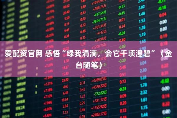 爱配资官网 感悟“绿我涓滴，会它千顷澄碧”（金台随笔）