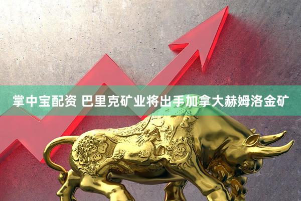 掌中宝配资 巴里克矿业将出手加拿大赫姆洛金矿